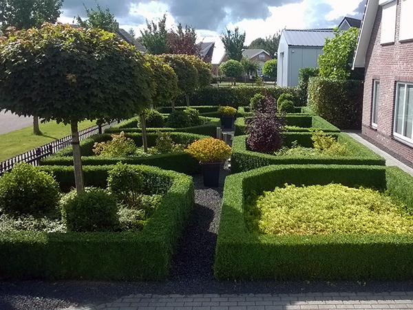 /files/visuals/visual-voortuin-buxus-boompjes.jpg